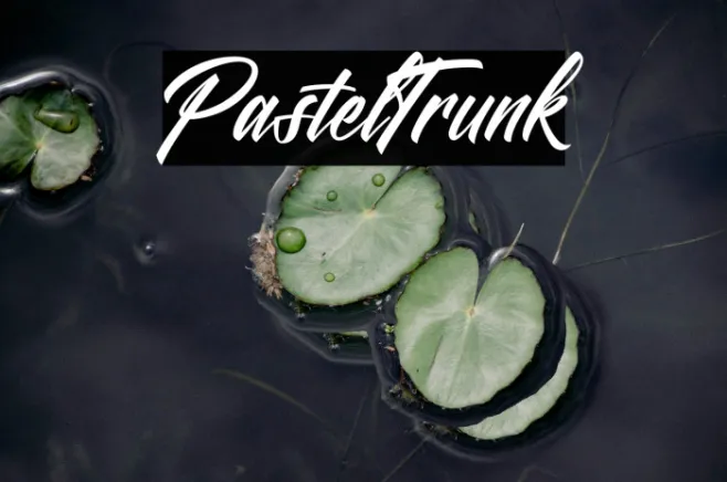 Pastel Trunk Example 2