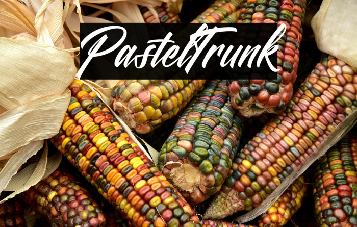 Pastel Trunk Example 3