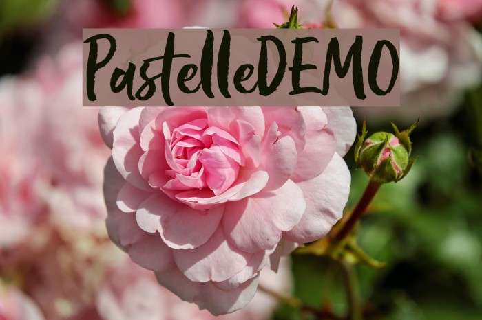 PastelleDEMO Example 2