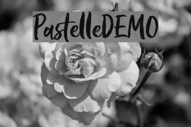PastelleDEMO Font examples