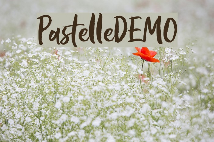PastelleDEMO Example 3