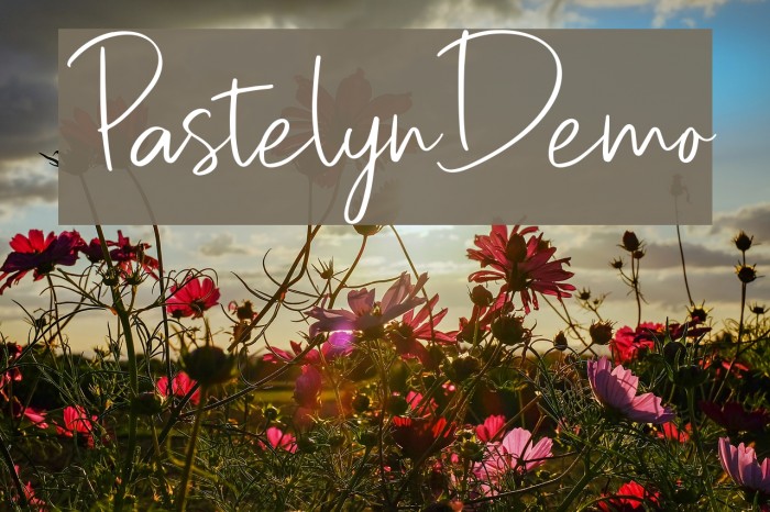 PastelynDemo Font examples