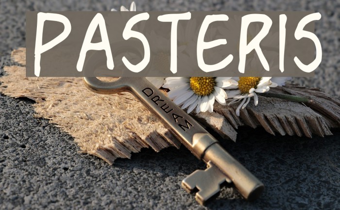 Pasteris Font examples