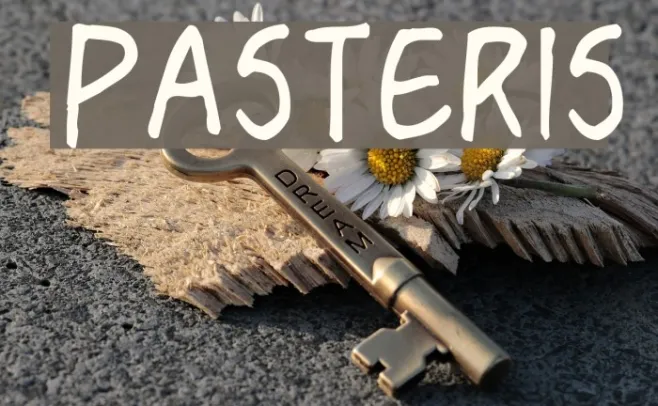 Pasteris Example 1