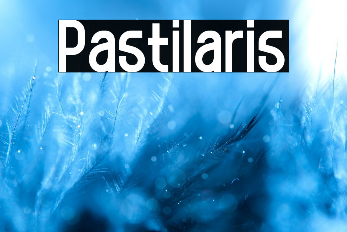 Pastilaris Example 1
