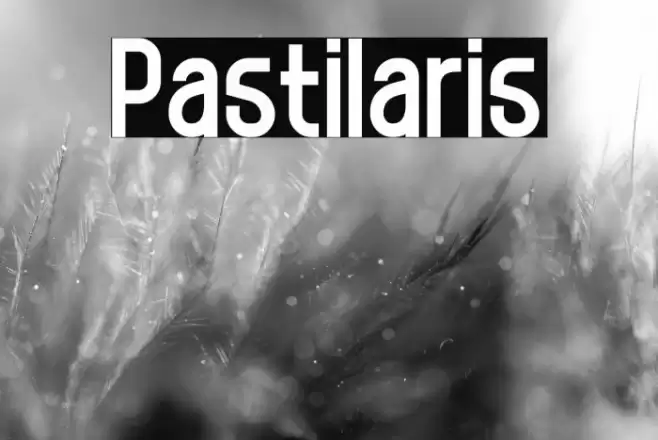 Pastilaris Font examples