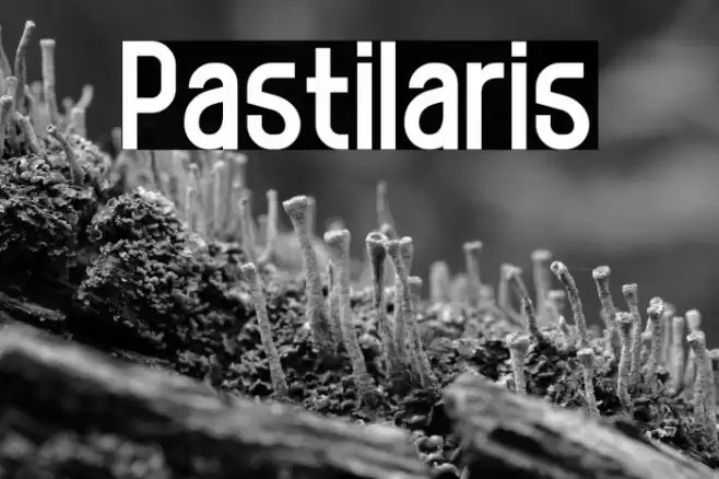Pastilaris Font examples