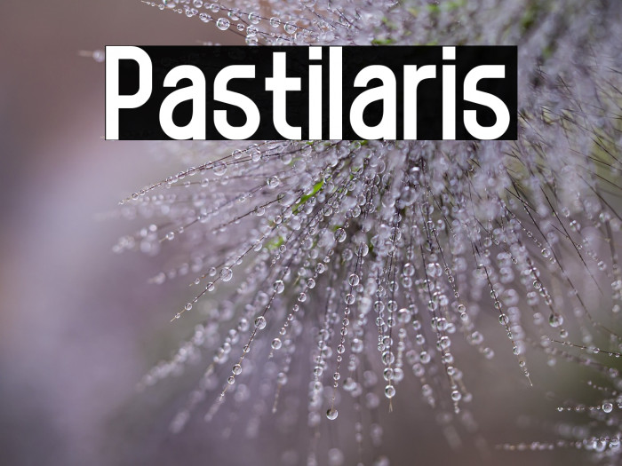 Pastilaris Example 3