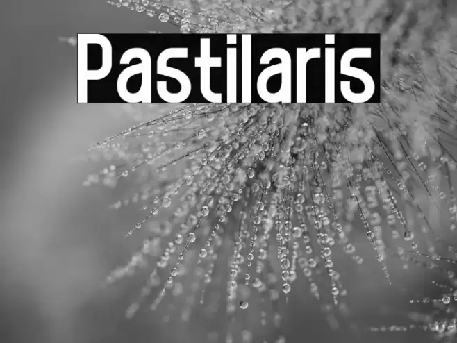 Pastilaris Font examples