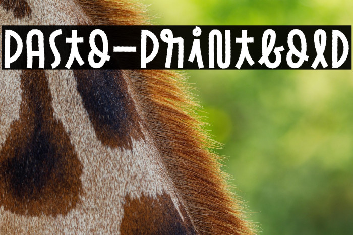 Pasto-PrintBold Example 3