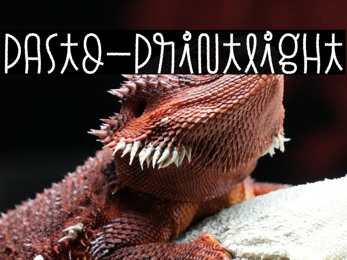 Pasto-PrintLight Example 2