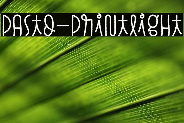 Pasto-PrintLight Example 3