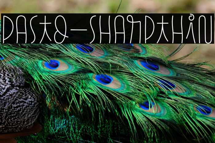 Pasto-SharpThin Example 1