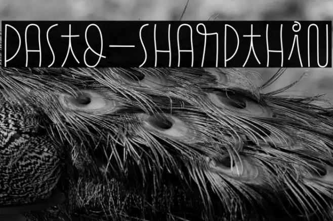 Pasto-SharpThin Font examples