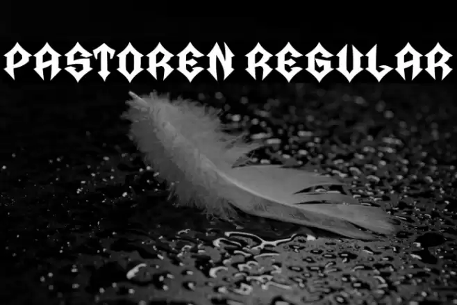 Pastoren Regular Font examples