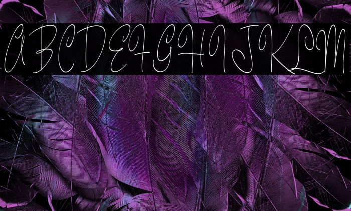 Pastry Script Vari PERSONAL Narrow Light Example 1