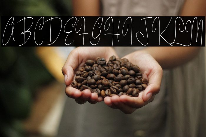 Pastry Script Vari PERSONAL Narrow Light Example 2