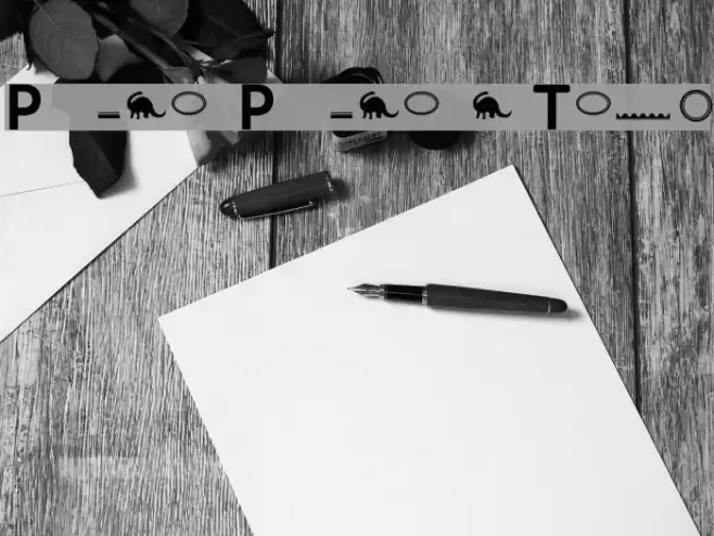 PatagoniaPatagonian Titles Font examples