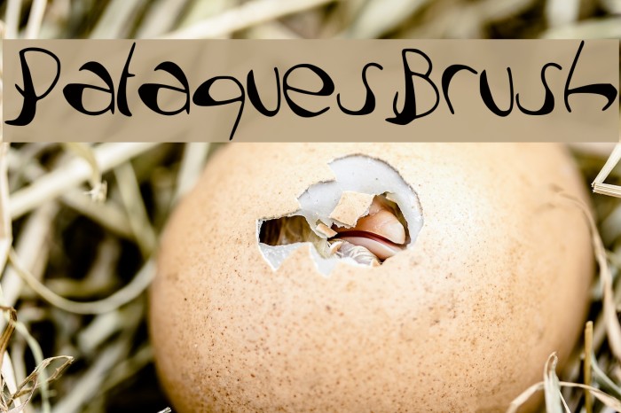 PataquesBrush Example 1