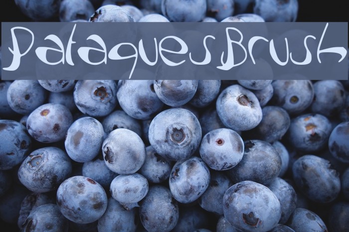 PataquesBrush Example 2