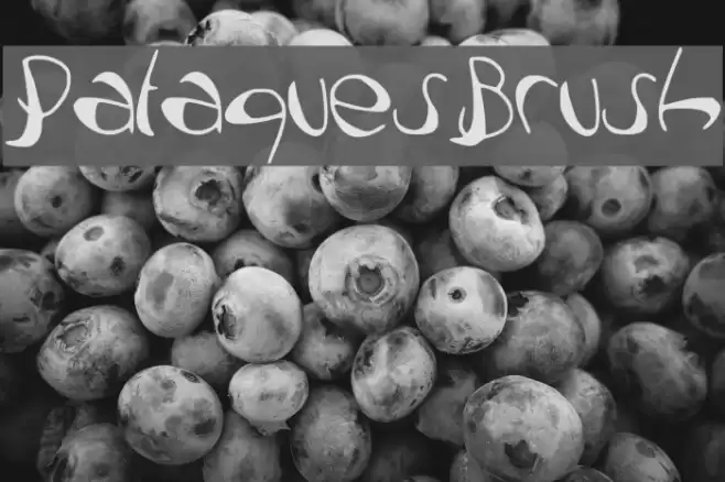 PataquesBrush Font examples