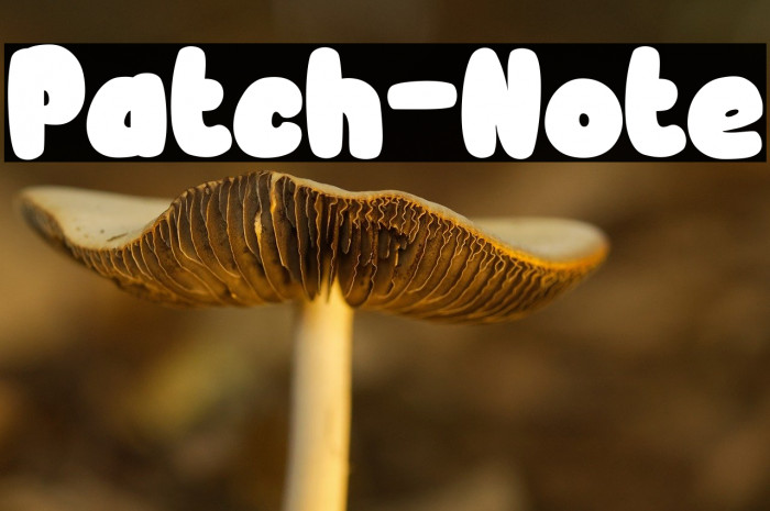 Patch-Note Example 2