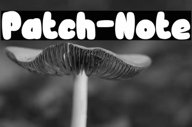 Patch-Note Font examples