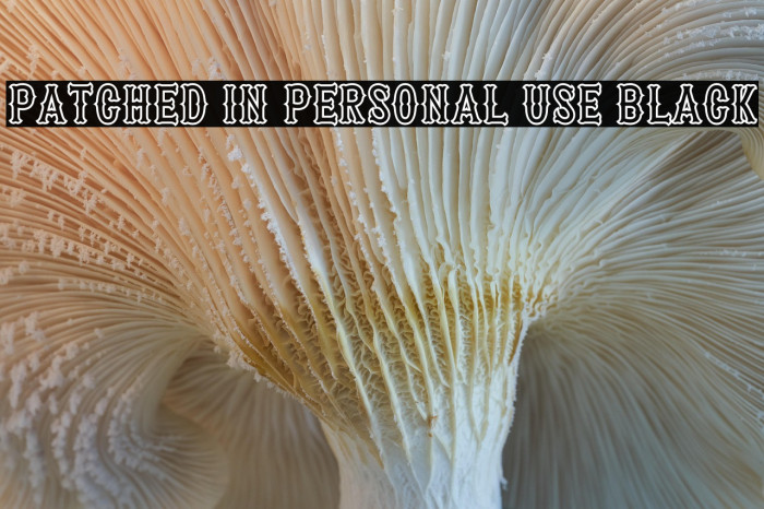 Patched In PERSONAL USE Black Example 1