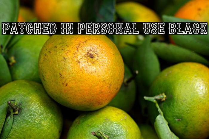 Patched In PERSONAL USE Black Example 2