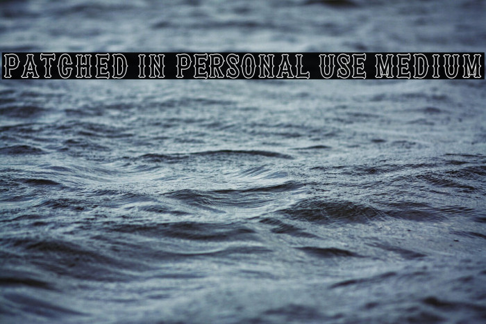 Patched In PERSONAL USE Medium Example 1