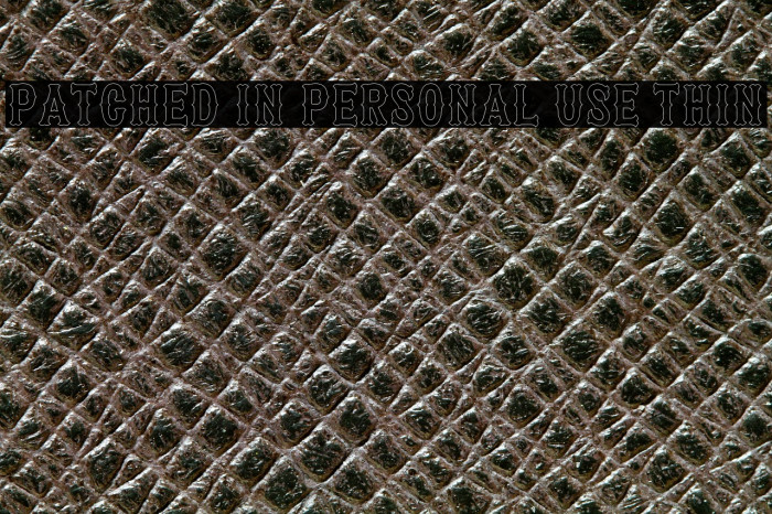 Patched In PERSONAL USE Thin Example 1