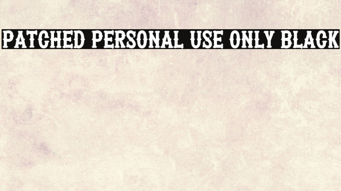 Patched PERSONAL USE ONLY Black Example 3