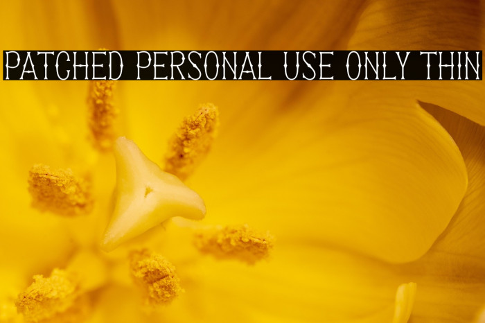 Patched PERSONAL USE ONLY Thin Example 1