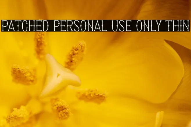 Patched PERSONAL USE ONLY Thin Example 1