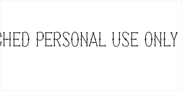 Patched PERSONAL USE ONLY Thin Logo