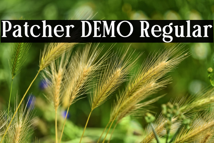 Patcher DEMO Regular Example 3