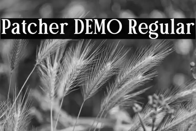 Patcher DEMO Regular Fuentes examples