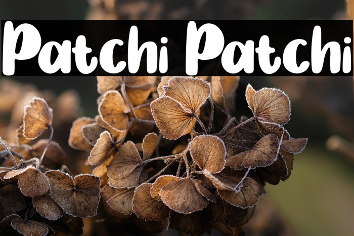 Patchi Patchi Example 2