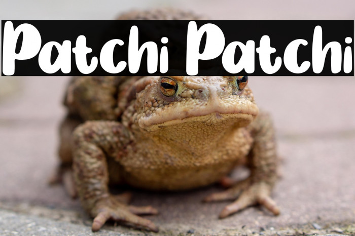 Patchi Patchi Example 3
