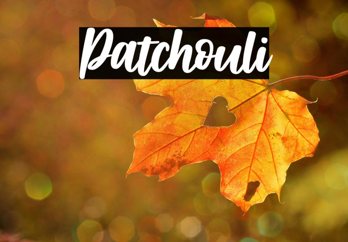 Patchouli Example 3