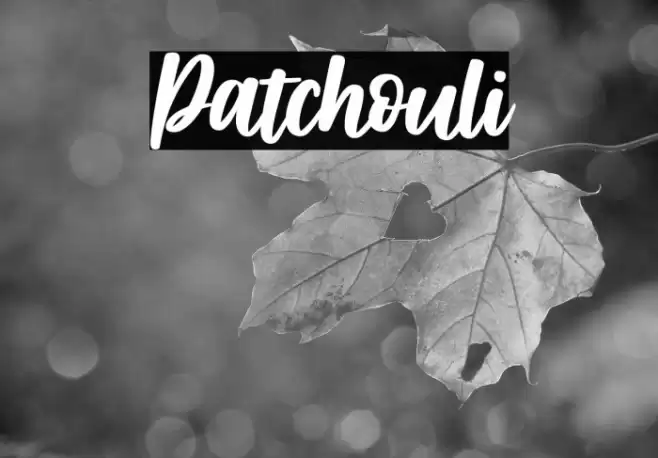 Patchouli फ़ॉन्ट examples