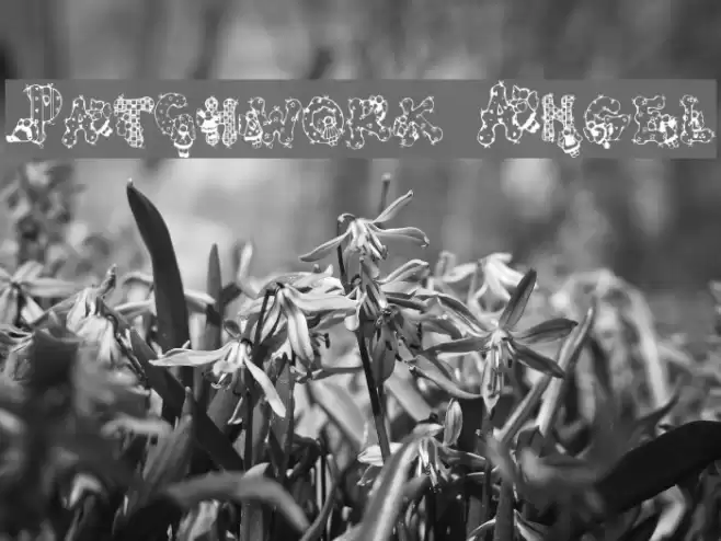 Patchwork Angel Font examples
