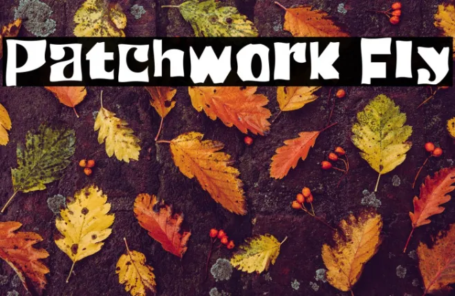 Patchwork Fly Example 1
