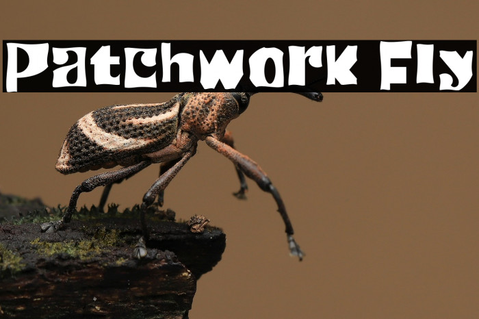 Patchwork Fly Example 2