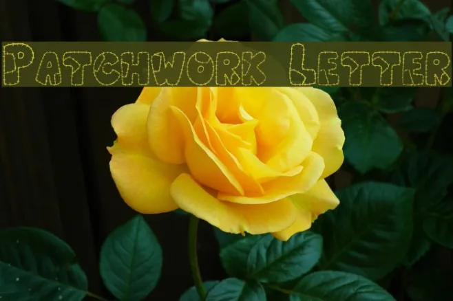 Patchwork Letter Example 2