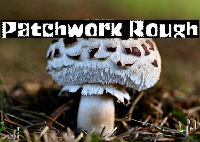 Patchwork Rough Example 1