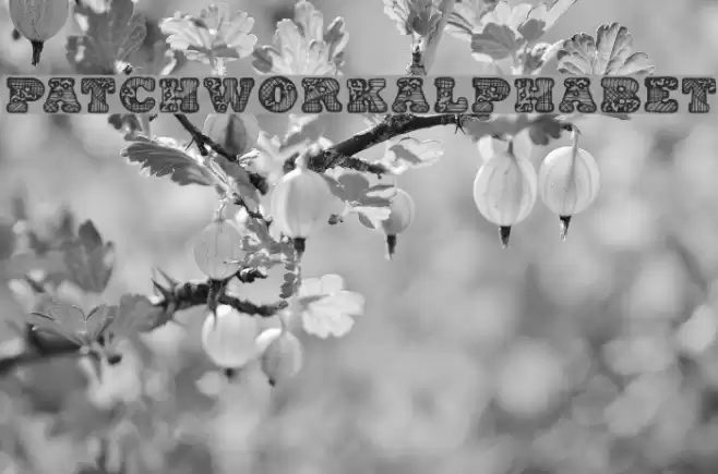 PatchworkAlphabet Font examples
