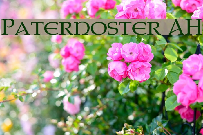 Paternoster AH Font examples