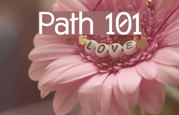 Path 101 Polices examples