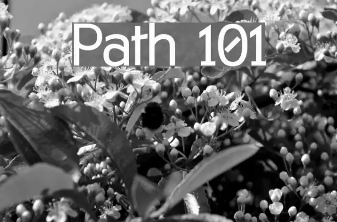 Path 101 Fonte examples